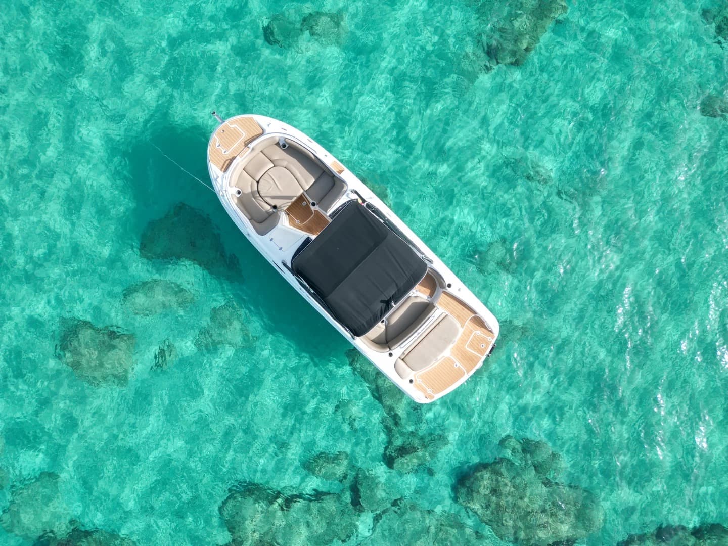 Kraken One